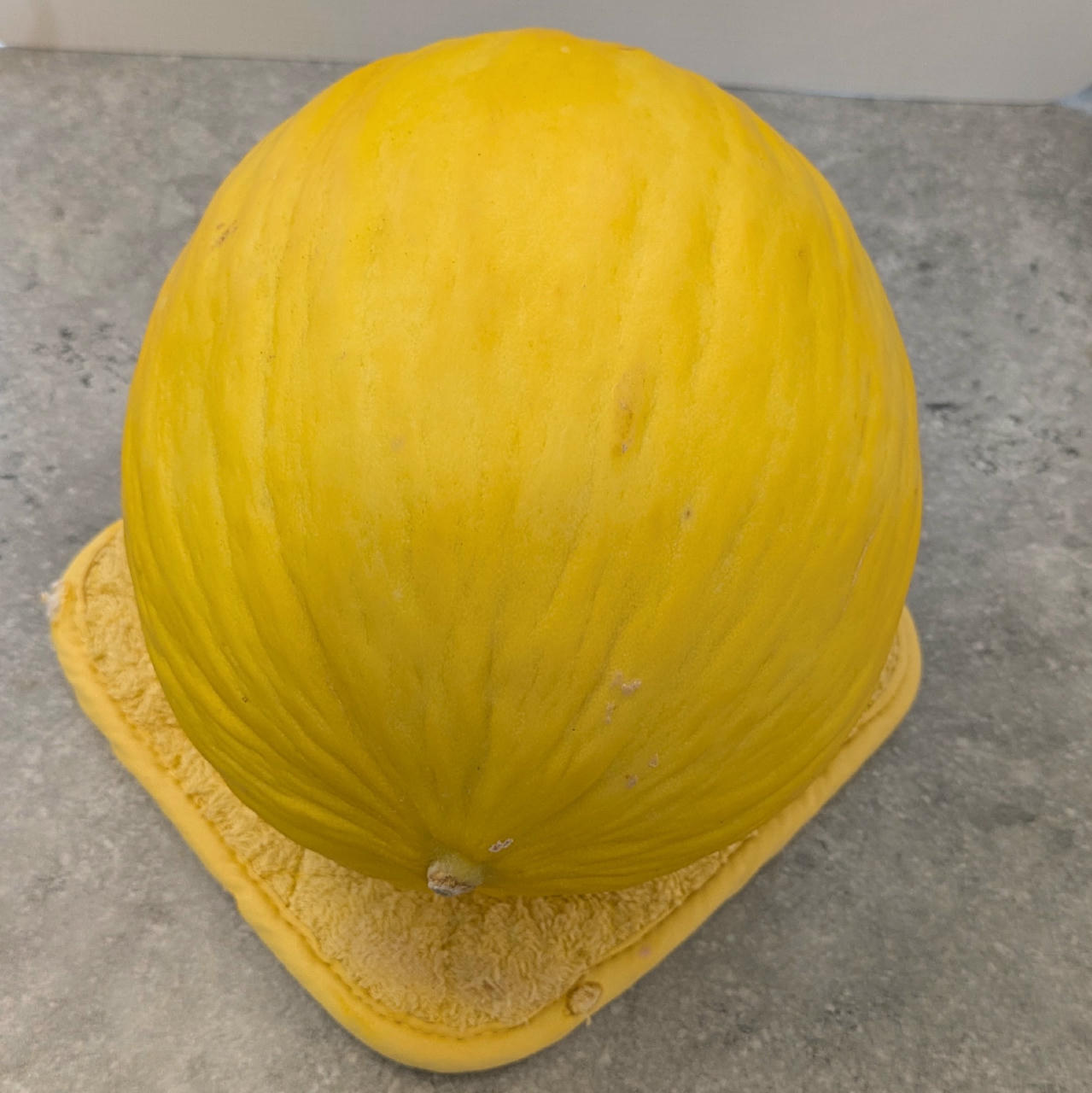 Honey Melon